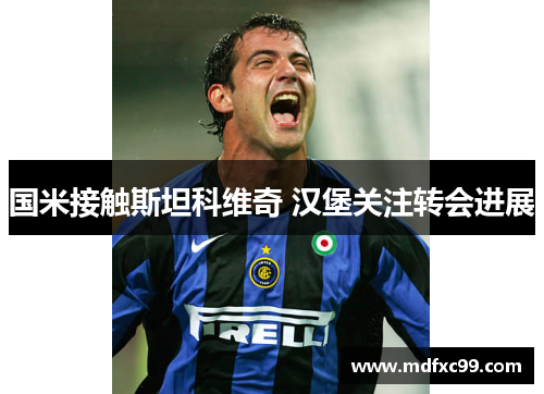 国米接触斯坦科维奇 汉堡关注转会进展