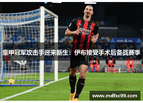 意甲冠军攻击手迎来新生：伊布接受手术后备战赛季